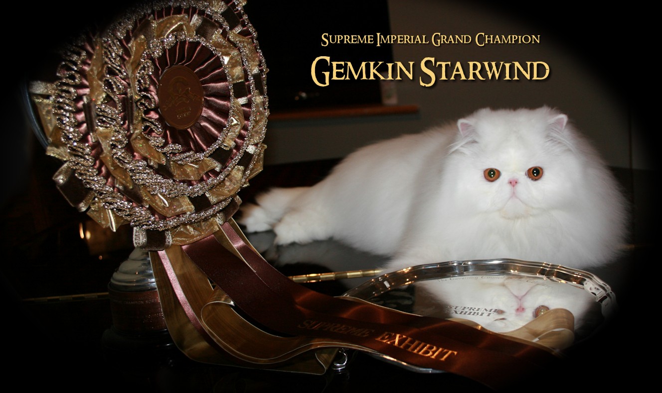 Supreme Imperial Grand Champion Gemkin Starwind